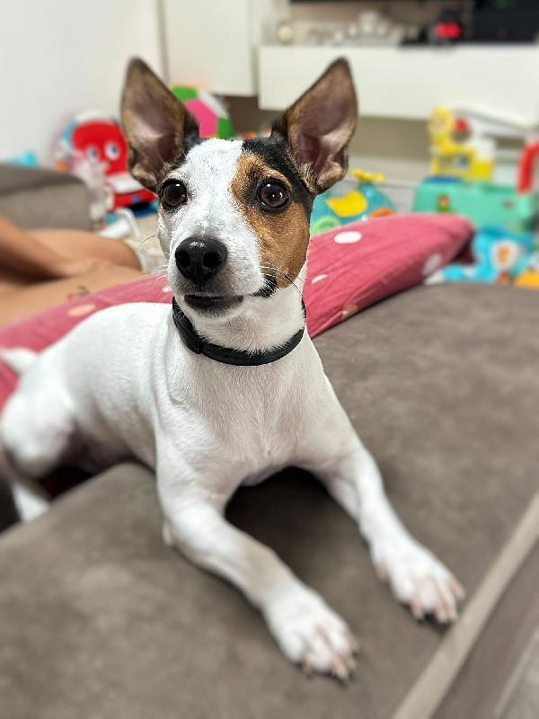✨Lulù ✨ Foto 4