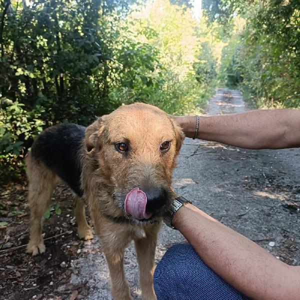 Yuri è abbandonato a se stesso  Foto 2
