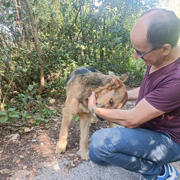 Yuri è abbandonato a se stesso  Foto 5