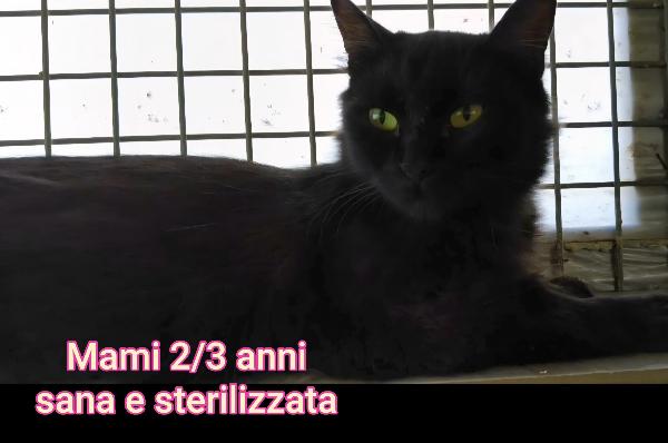 TANTI MICINI SOLI Foto 8