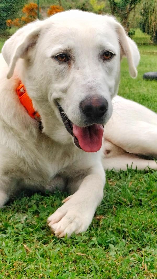 Ares❣️ Foto 2