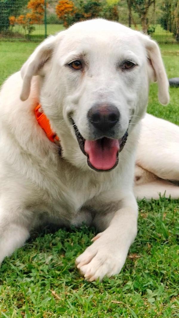 Ares❣️ Foto 5