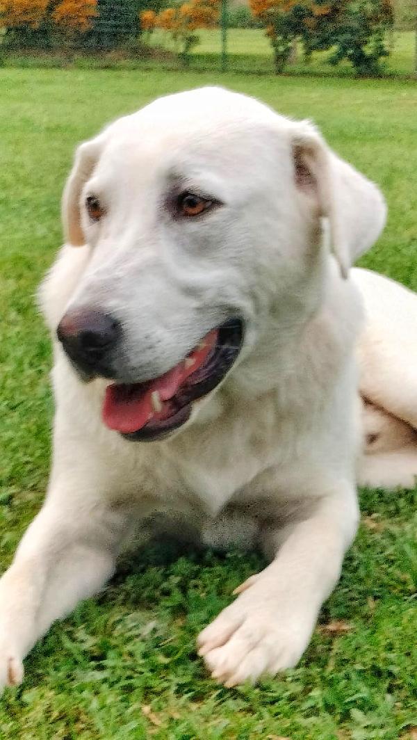 Ares❣️ Foto 6
