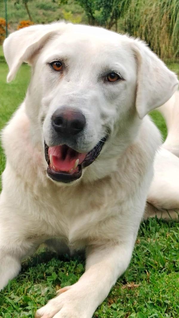 Ares❣️ Foto 7