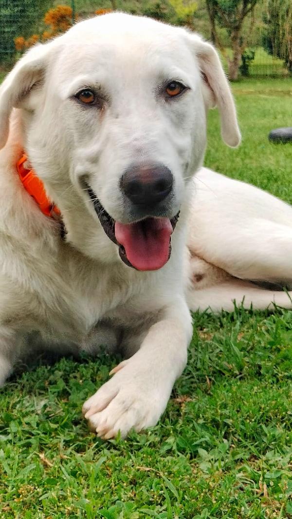Ares🐾💙 Foto 5