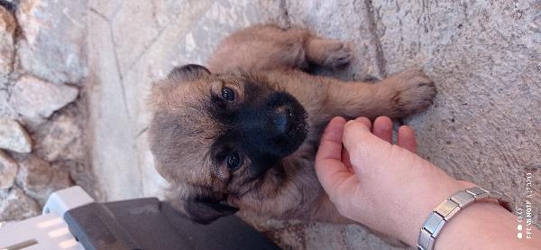 Virgola🥰👇 Foto 2