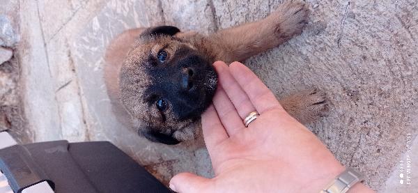 Virgola🥰👇 Foto 3