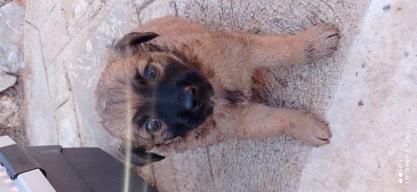 Virgola🥰👇 Foto 4