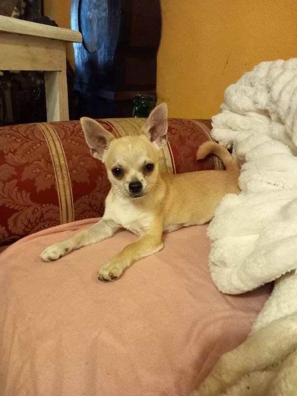 Giorgio 