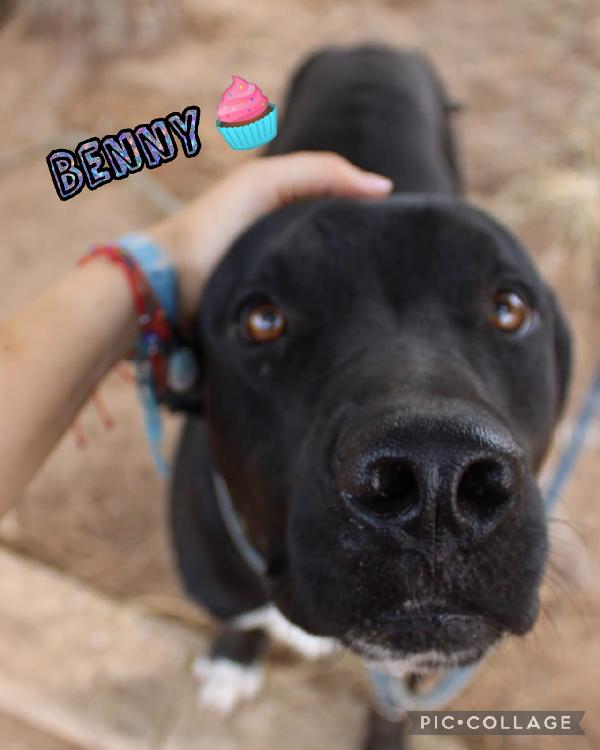 Benny🩵🐾🩵 Foto 6