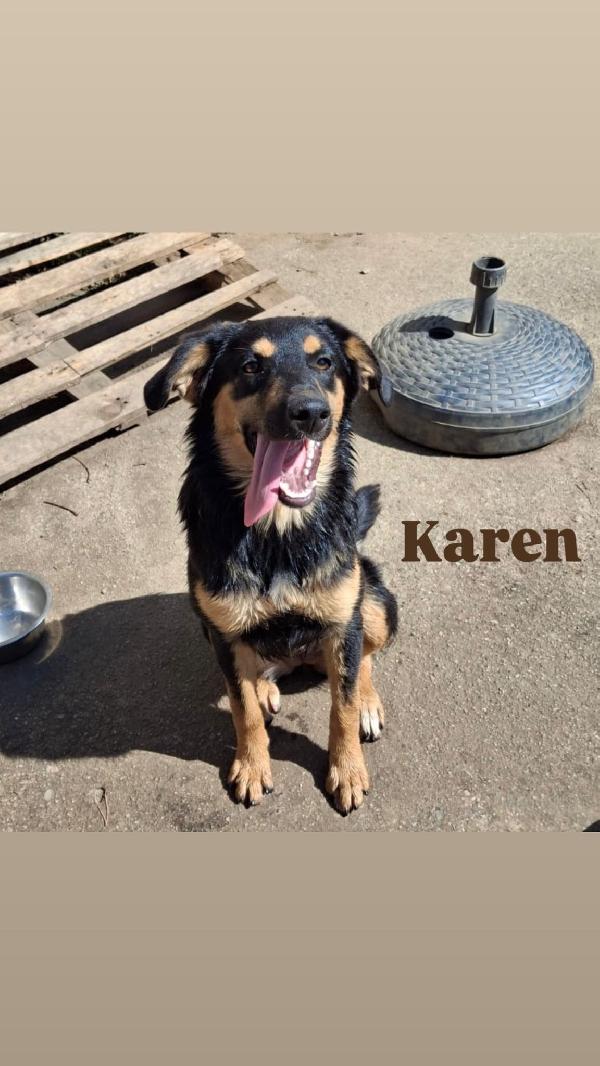 🌺Karen🌺Sta Aspettando La Sua Occasione🌺
