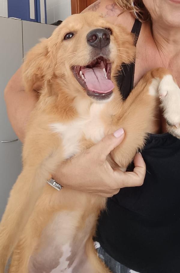 Peperina super cucciola amica di tutti  Foto 2