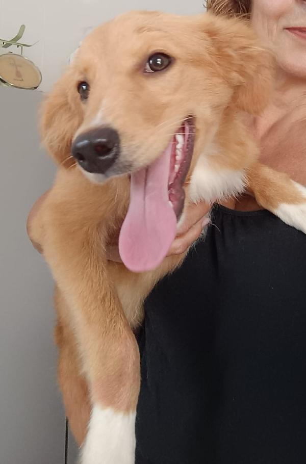 Peperina super cucciola amica di tutti  Foto 3