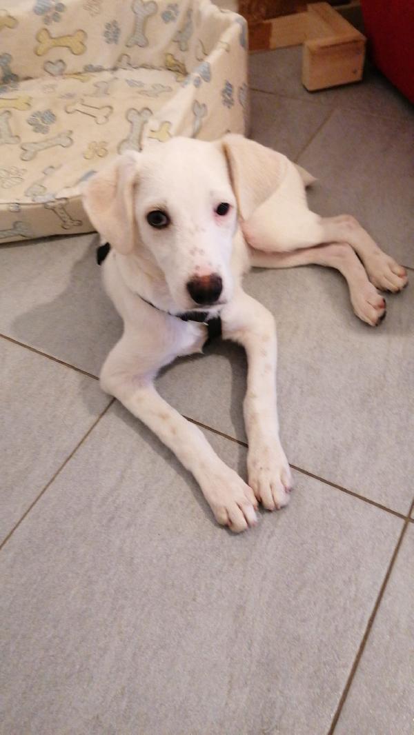 ❤️ Bianca – Piccola Guerriera Che Cerca Il Suo Lieto Fine ❤️