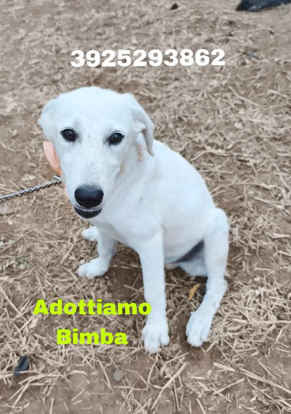 Jago e i suoi fratellini cercano casa  Foto 6