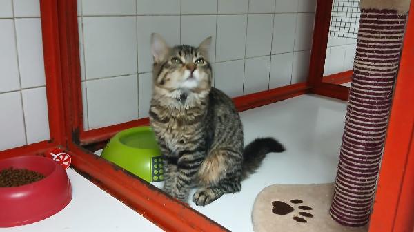 EMILY: Foto 4