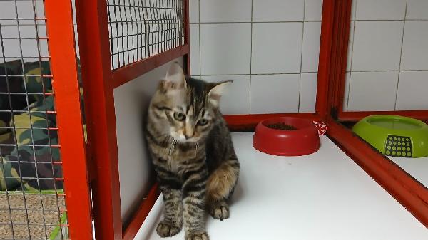 EMILY: Foto 9