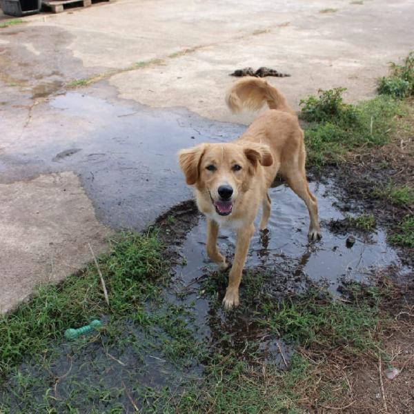 Scotty🩵🐾🩵 Foto 5