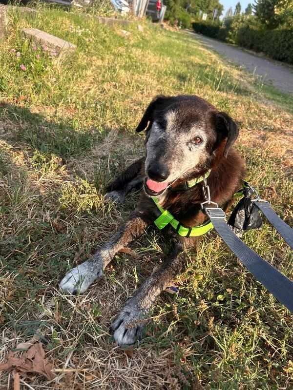 Angelo ha 16 anni.. forse più .. Foto 3