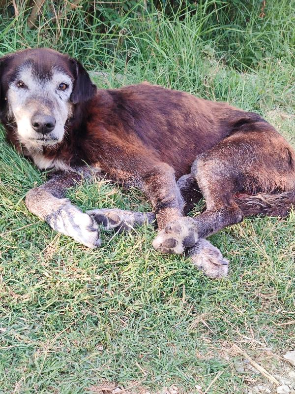 Angelo ha 16 anni.. forse più .. Foto 4