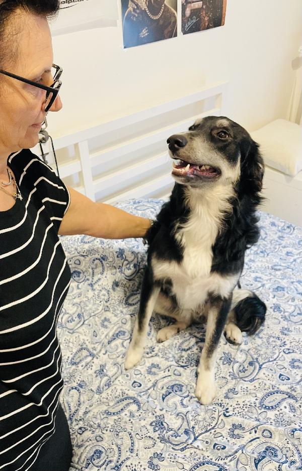Sos BALTO  Foto 3