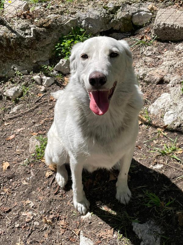 IL SORRISO DEL DOLCE CESARE Foto 3