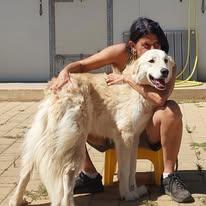 Patrick Cerca Famiglia. Info adozione Monica 3890238584 Foto 8