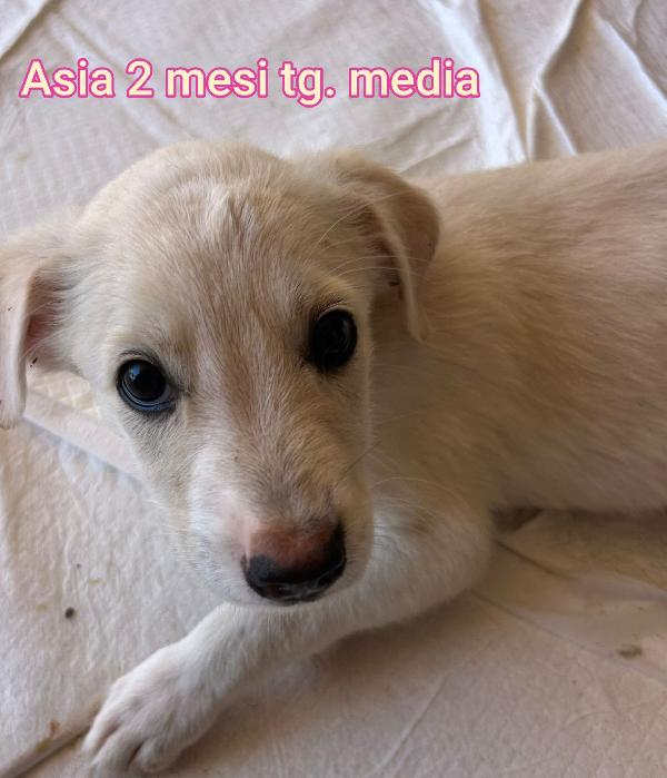 2 Mesi: Soli In Rifugio 