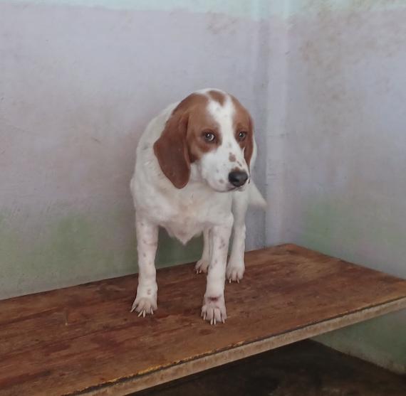 Cocco Foto 2