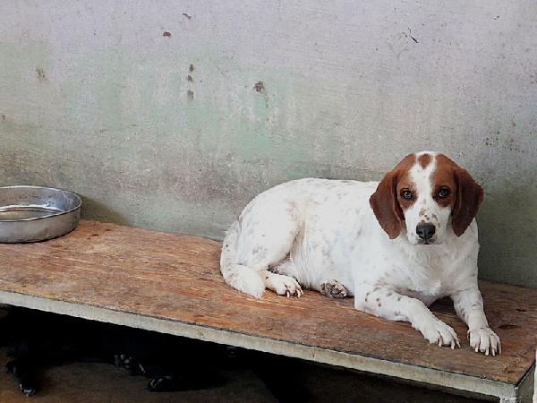 Cocco Foto 3