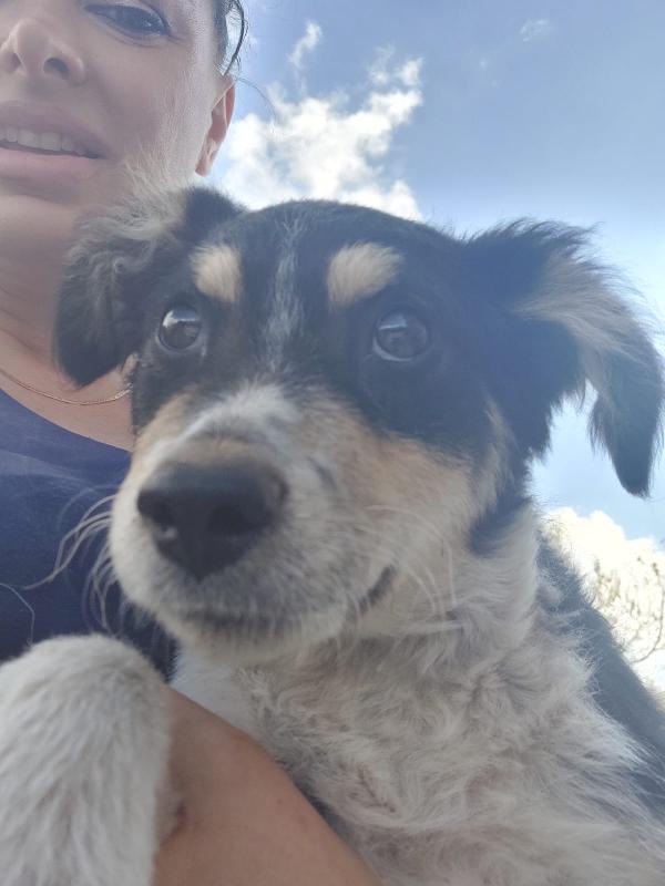🐾💛“Pepsi, Cucciolo Dal Cuore Grande In Cerca Di Una Vita Vera"💕🧑🏻‍🧑🏻‍🧒🏻