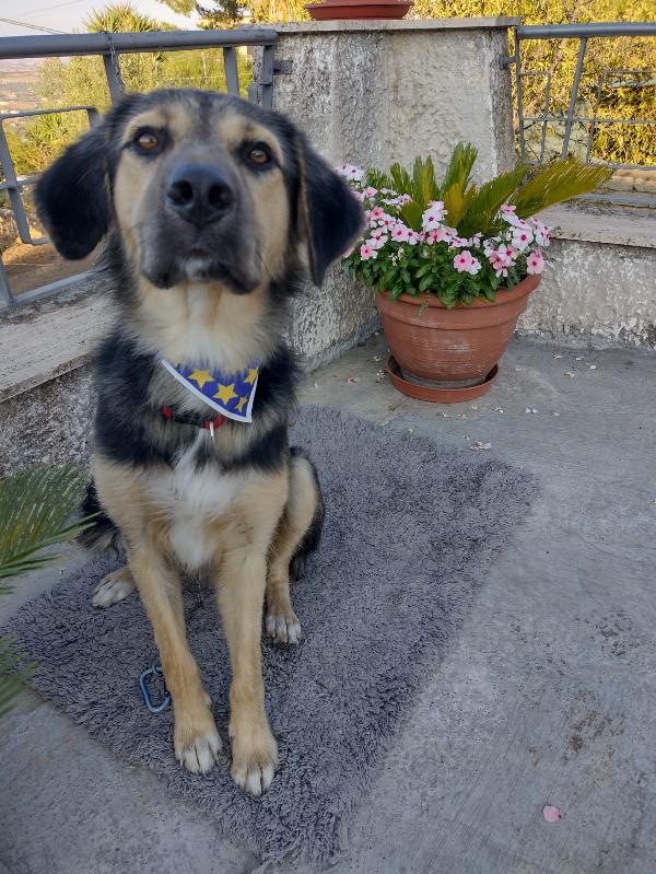 Ciao a tutti da Remì Foto 9