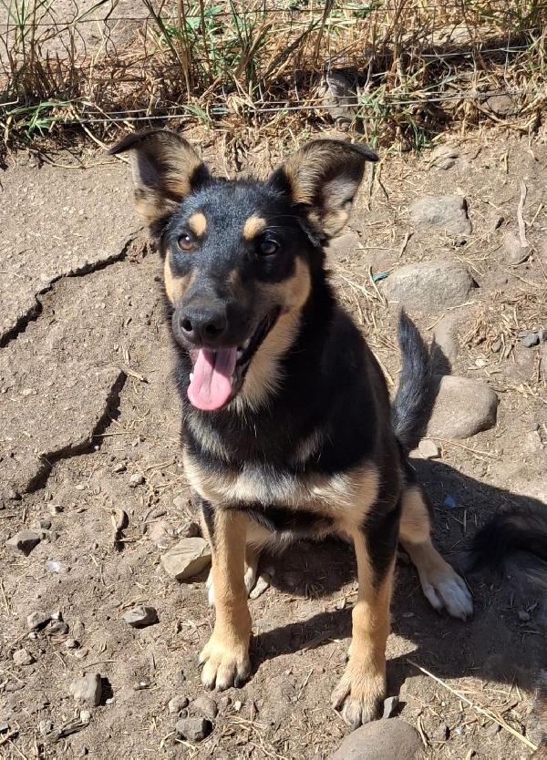 Ada💘🐕 Foto 6