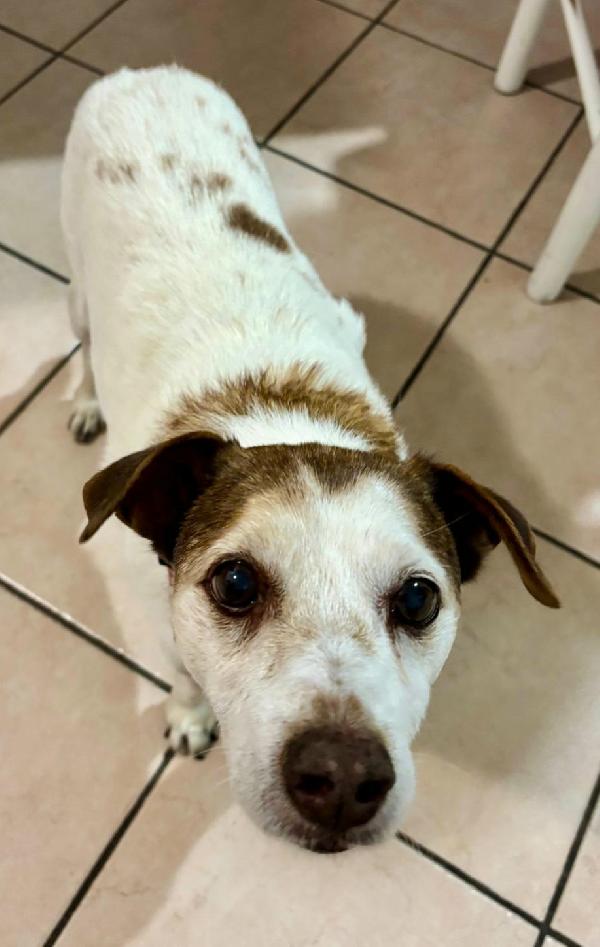 Pupo 12 Anni Taglia Piccola 