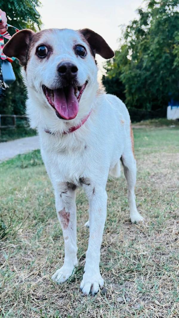 Pupo 12 anni Taglia piccola  Foto 2