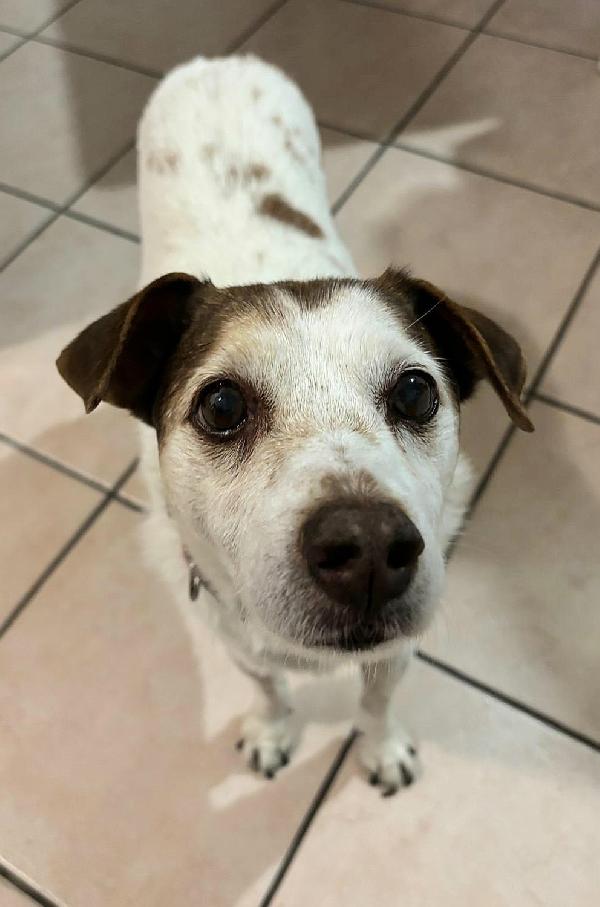Pupo 12 anni Taglia piccola  Foto 4