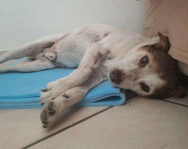 Pupo 12 anni Taglia piccola  Foto 5