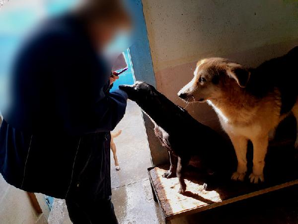 Rocco buono e simpatico Foto 8