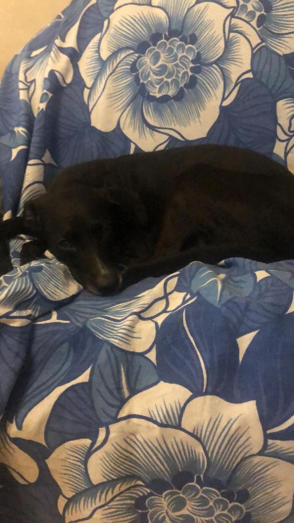 Lulù  Foto 2