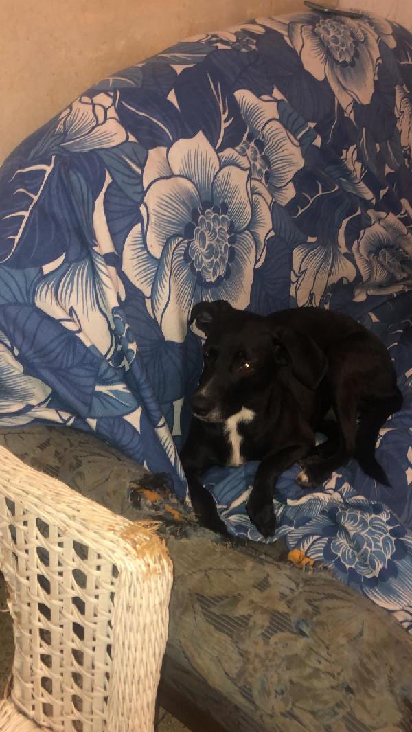 Lulù  Foto 3