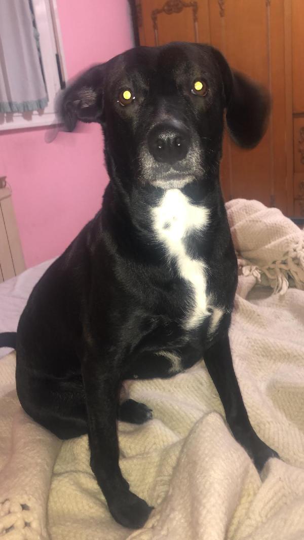 Lulù  Foto 4