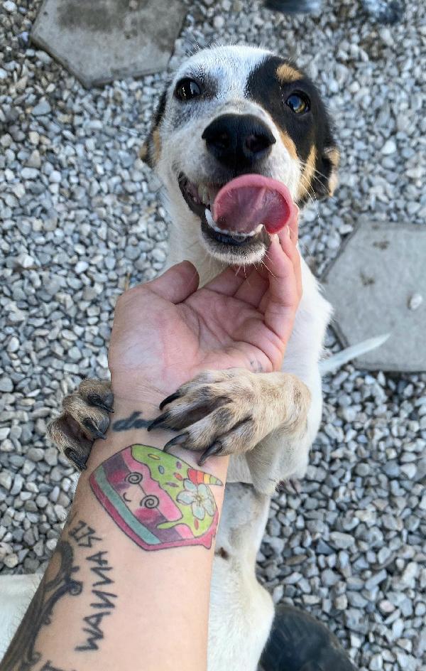 Abu 5 Mesi Taglia Piccola 