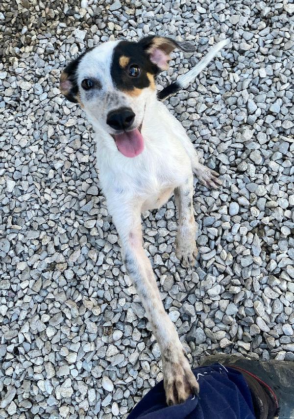Abu 5 mesi taglia piccola  Foto 3