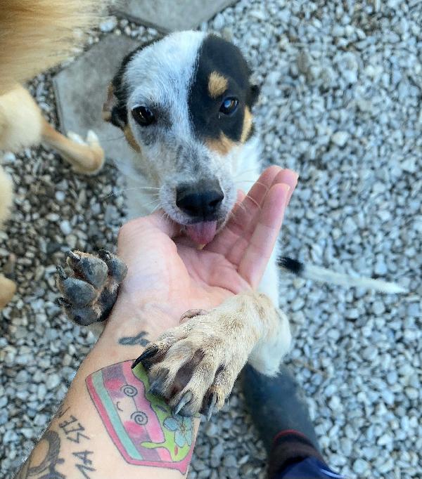 Abu 5 mesi taglia piccola  Foto 4