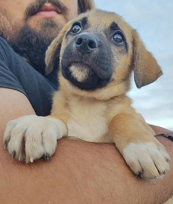 Buddy Dalla Sicilia