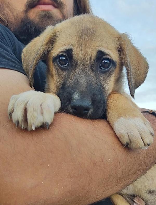 Buddy dalla sicilia Foto 3