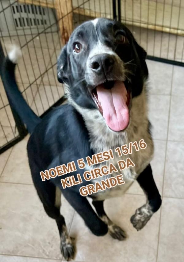 Noemi 5 Mesi