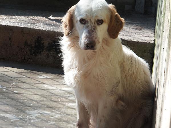 Lucina Foto 6