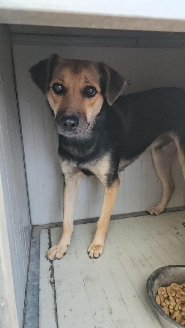 Andrea:  timido e dolce con tutti  Foto 12