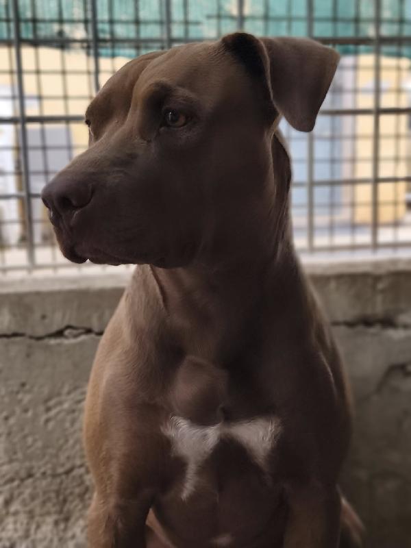 Jago ha bisogno della sua occasione Foto 5